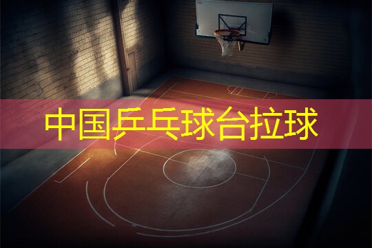 中国乒乓球台拉球