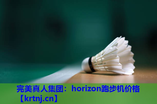 horizon跑步机价格