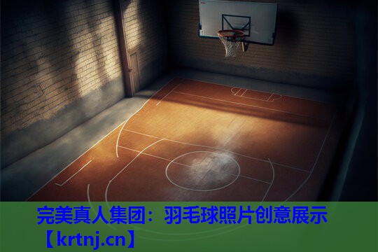 羽毛球照片创意展示