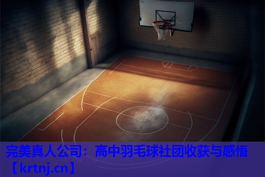 高中羽毛球社团收获与感悟