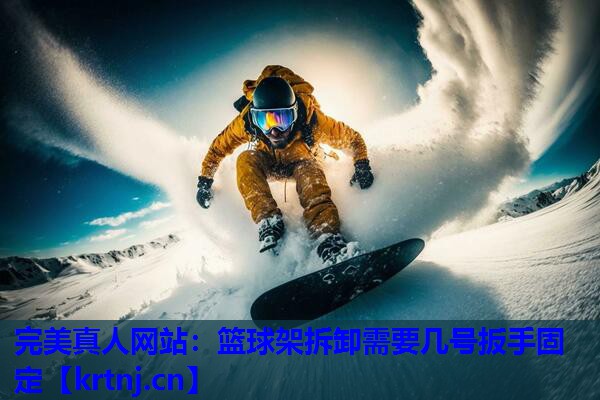 篮球架拆卸需要几号扳手固定 篮球架拆卸需要几号扳手固定